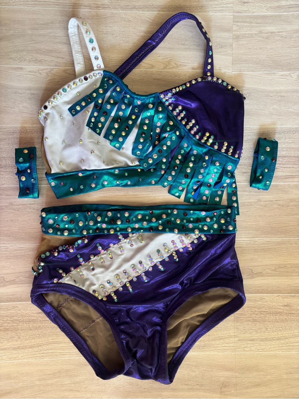 AXS Custom Blue/Purple Costume